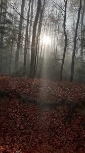 Planinarski izlet, studeni 2020.