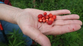 Planinarski izlet, svibanj 2018.