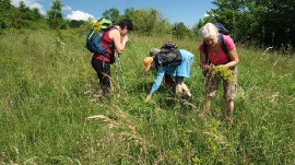 Planinarski izlet, svibanj 2018.