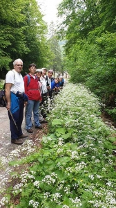 Planinarski izlet, svibanj 2019.