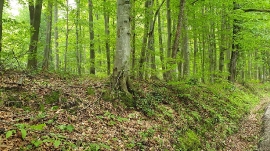 Planinarski izlet, svibanj 2019.