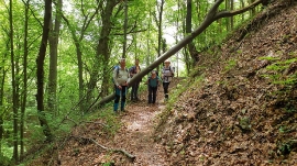 Planinarski izlet, svibanj 2021. 