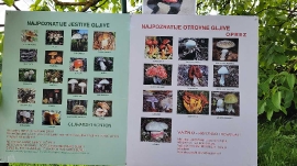 Planinarski izlet, svibanj 2022. (2)