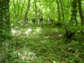 Planinarski izlet, svibanj