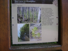 Planinarski izlet, svibanj