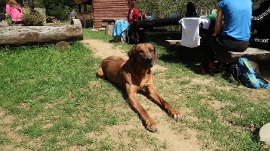 Planinarski izlet, travanj 2018. (26. Rusov pohod)