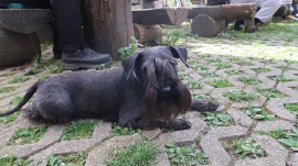 Planinarski izlet, travanj 2018. (26. Rusov pohod)