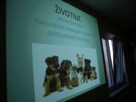 Predavanje, životinjski prijatelji
