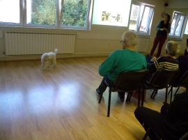 Predavanje, životinjski prijatelji