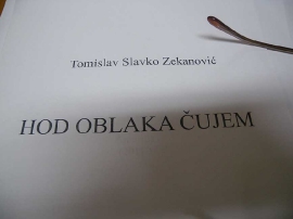 Promocija knjige poezije