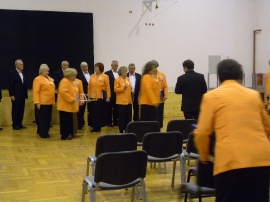 Suradnja, Koncert prijateljstva 