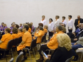 Suradnja, Koncert prijateljstva 