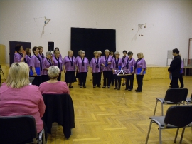 Suradnja, Koncert prijateljstva 