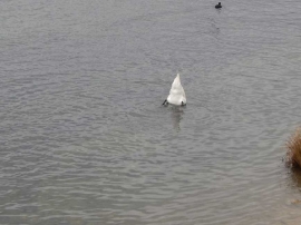 Suradnja, Svjetski savez mladih HR 2019.