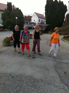 Suradnja, Udruga invalida Donja Stubica 2018.