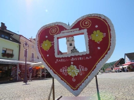 Suradnja, UI Donja Stubica, 2021.