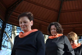 Suza za Zlatka Bočkala, 2018.