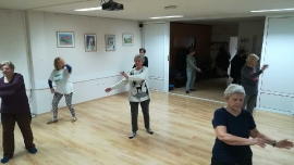 Tai Chi - Wushu Elixir