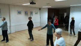 Tai Chi - Wushu Elixir