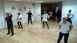 Tai Chi - Wushu Elixir