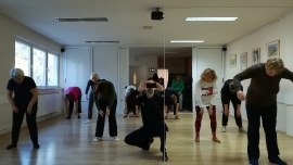 Tai Chi - Wushu Elixir