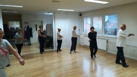 Tai Chi - Wushu Elixir