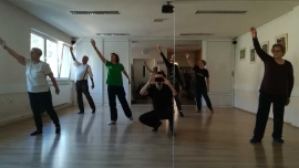 Tai Chi - Wushu Elixir