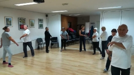 Tai Chi - Wushu Elixir