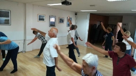 Tai Chi - Wushu Elixir