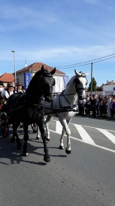 Vinkovačke jeseni 2019.