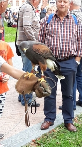 Vinkovačke jeseni 2019.