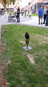 Vinkovačke jeseni 2019.