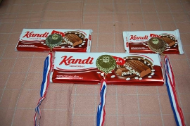 XV. Memorijalni šahovski turnir - Josip Ing. Blažević